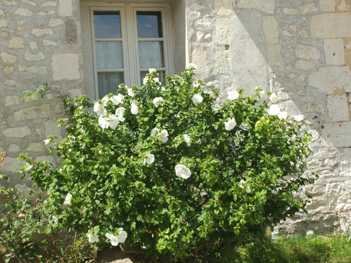 Manoir De La Rousselliere Loches Exterior photo